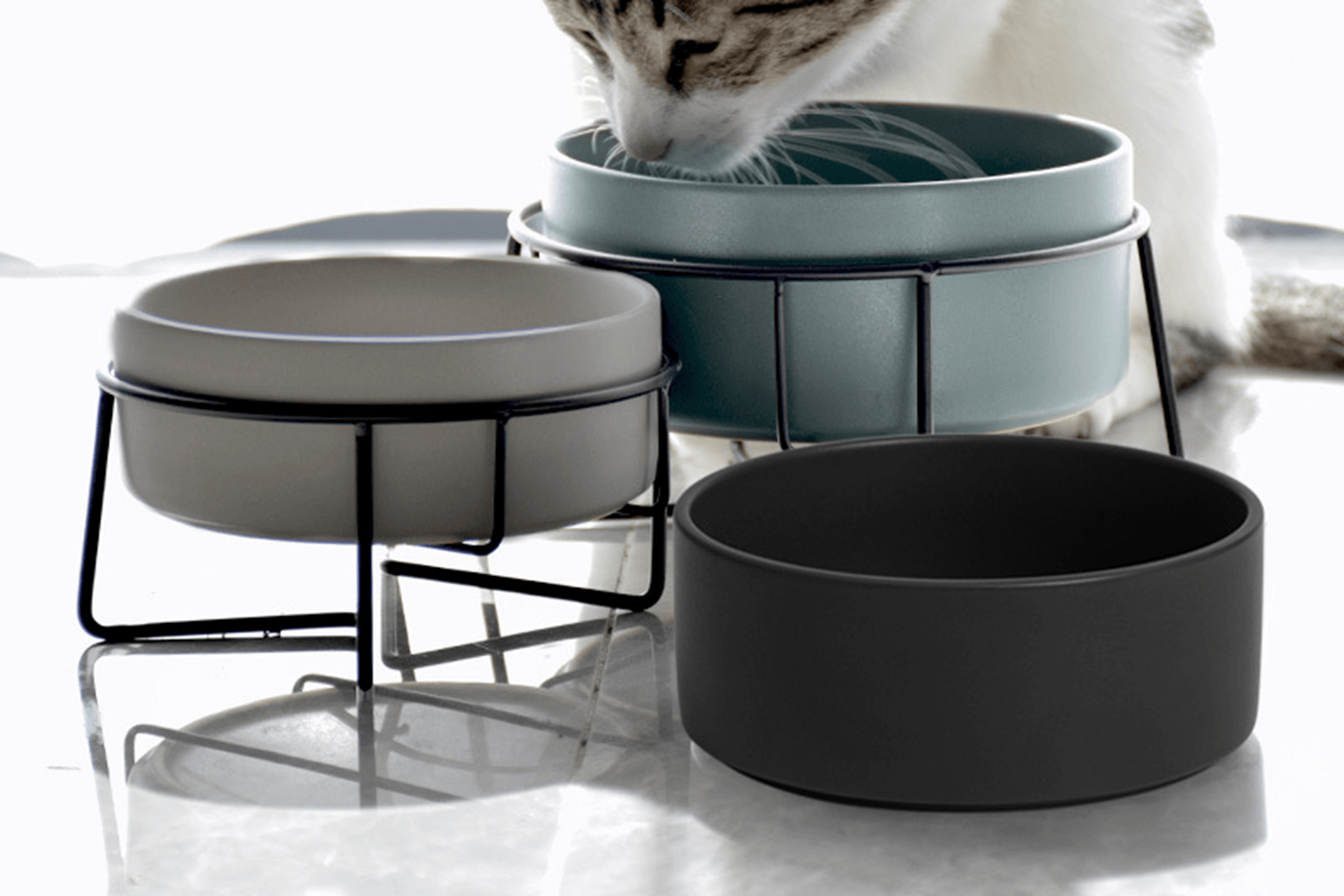 Cat bowl and dog bowl display stand