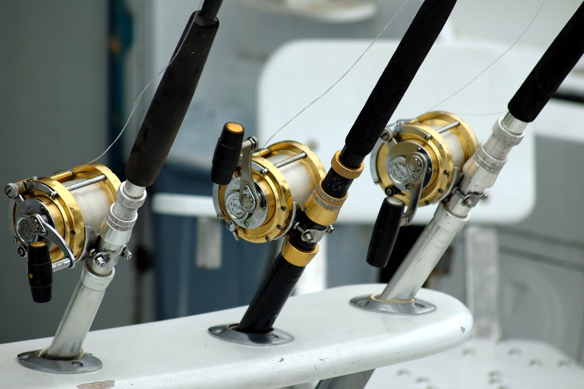 Fishing rod display stand